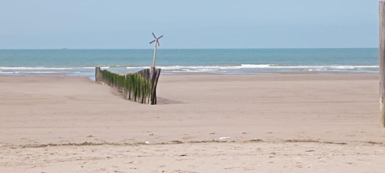 شقة Oye-Plage  في Les Salines المظهر الخارجي الصورة